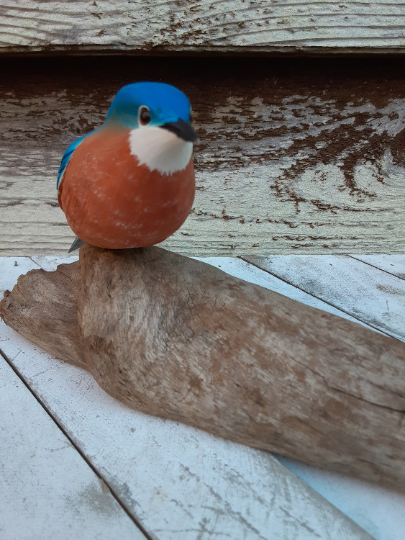 Blue Bird On Wood Carved By Philip E Brown - North Carolina Folk Artist